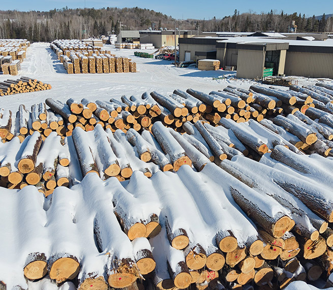 Eastern White Pine lumber stacked at the Husky Lumber mill