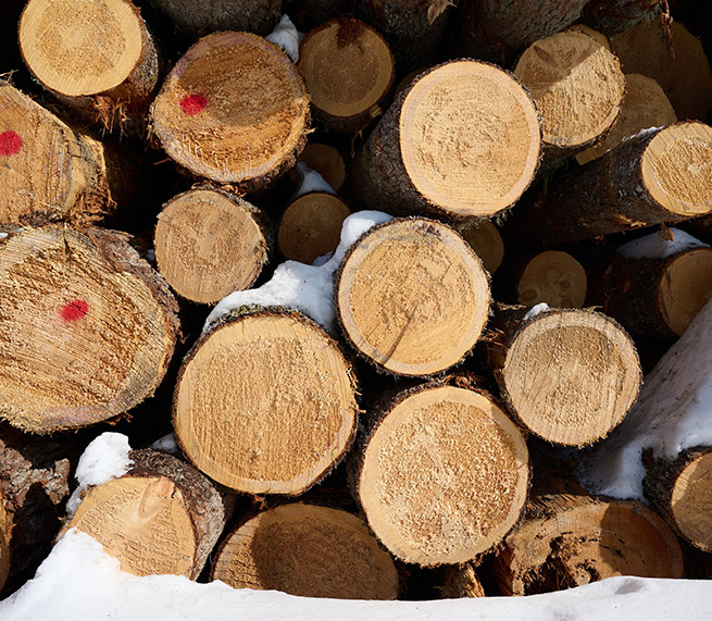 Bundles of graded pine lumber ready for export